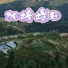 贵州黔东南加榜梯田