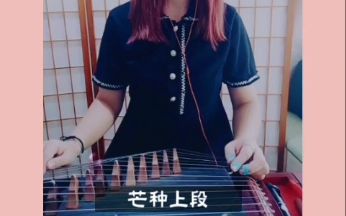 芒种古筝版