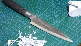 便宜实惠的菜板 a612d8786fdb38cad1d4c5cea5316cd312f6f848.jpg@280w_158h_1c_100q.jpg