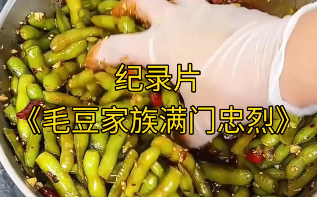 大型纪录片《毛豆家族满门忠烈》为您播出!