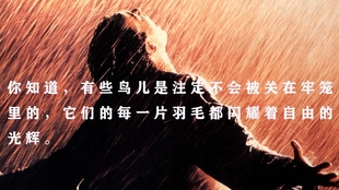 a6244279668070593d3d2a2f01547b090a54e3bf.jpg@310w_174h_1c_100q.jpg