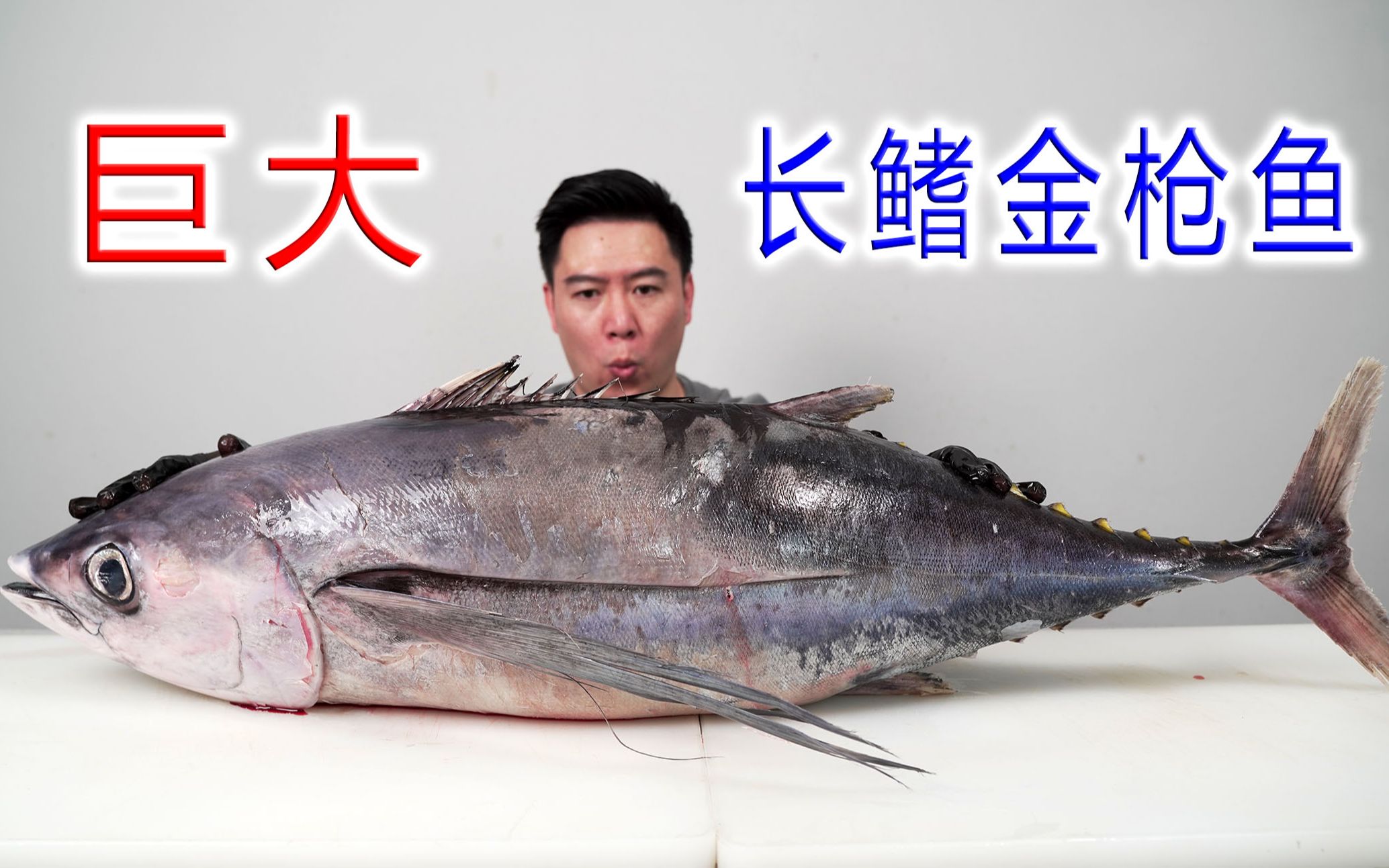 科学网—[小资料，图片] 枪鱼（ marlin, Makaira ） - 杨正瓴的博文