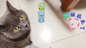 a648cce5658e14a1f72d87acb109285f86f3b8a4.jpg@280w_158h_1c_100q.jpg