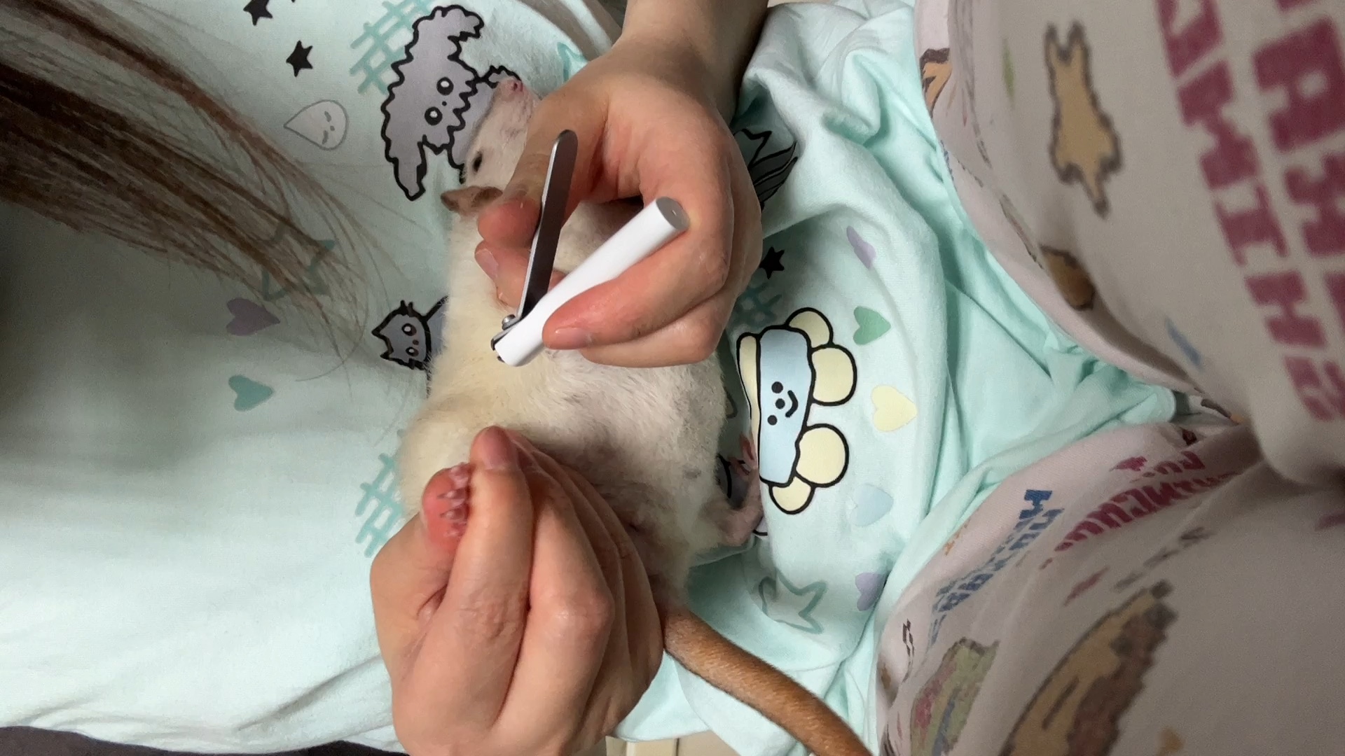 Mouse Nail Management