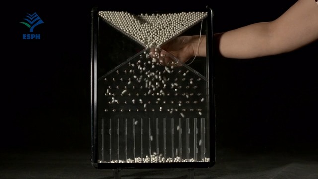 15.伽尔顿板实验