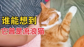 a668e983c580d7ceb189207ccf09a0453dc6711c.jpg@280w_158h_1c_100q.jpg