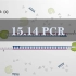 【JoVE】生物技术15.14 PCR