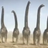 恐龙革命：葡萄牙巨龙。身高18.3米。身长30.5米。体重30吨。葡萄牙巨龙是真正的巨龙它们体型巨大就连巨大的丁赫罗龙也