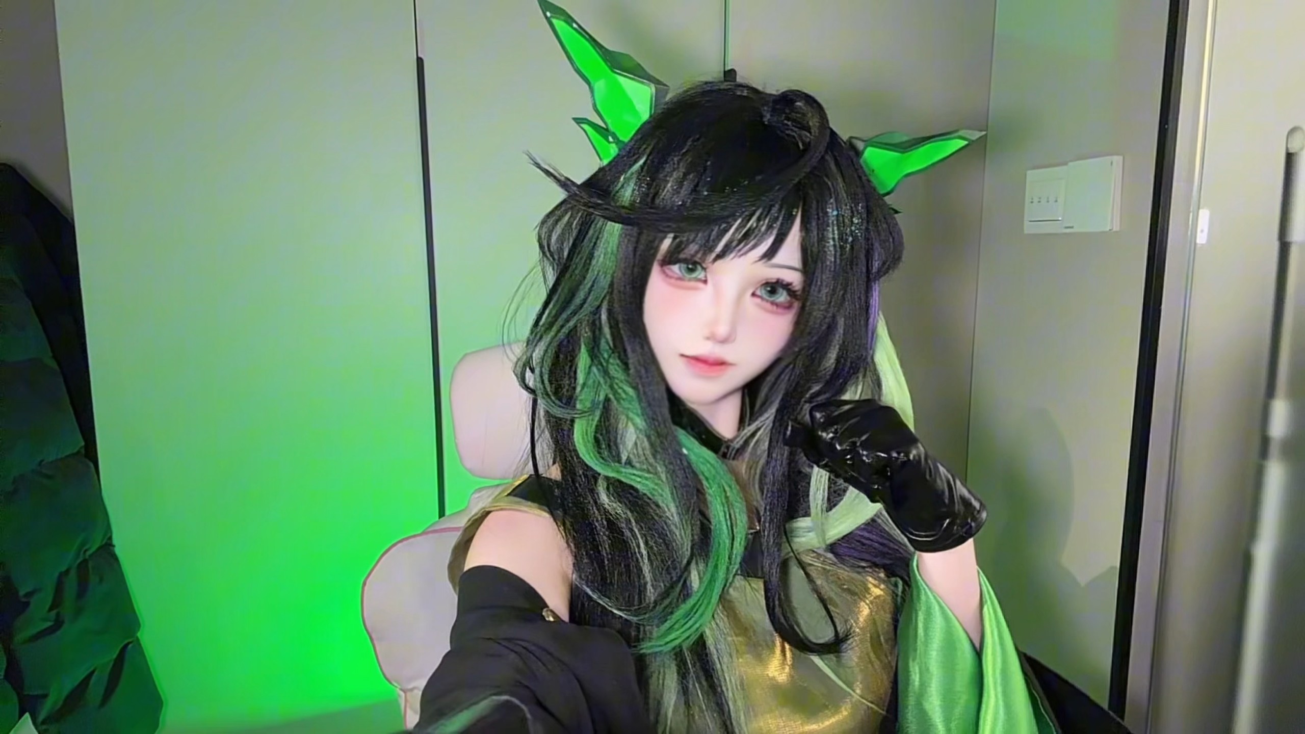 是猫猫呀