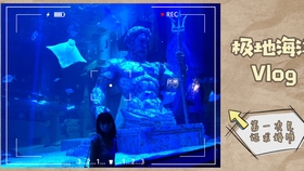 现在有什么好的兼职吗 a6b82a9a2b5b8bcdc6e002c48cfa98dc12962d0c.jpg@280w_158h_1c_100q.jpg