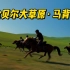 马背穿越120公里，在广袤无垠的草原上策马奔腾~2017年骑马季回顾