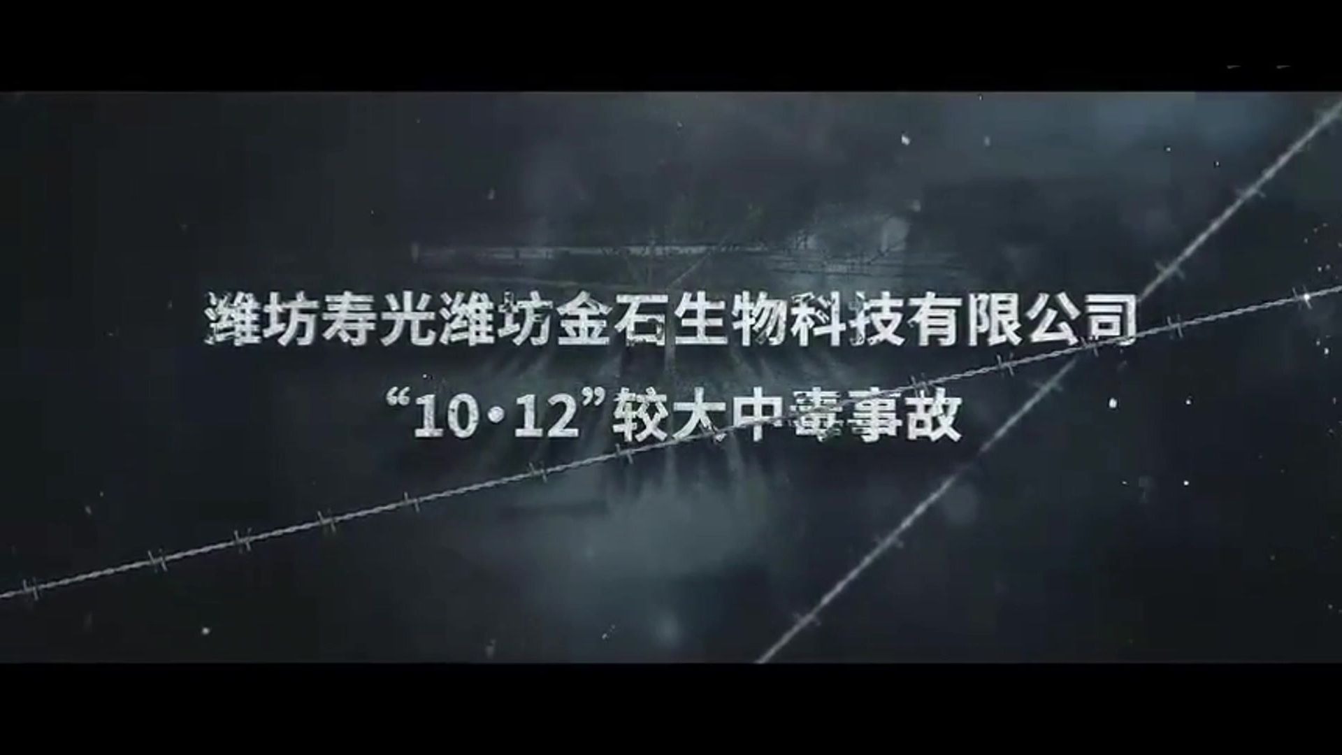 潍坊寿光潍坊金石生物科技有限公司“10·12”较大中毒事故