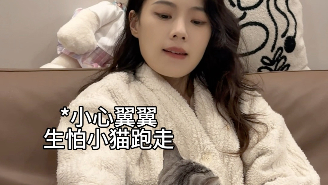 养猫人的卑微日常