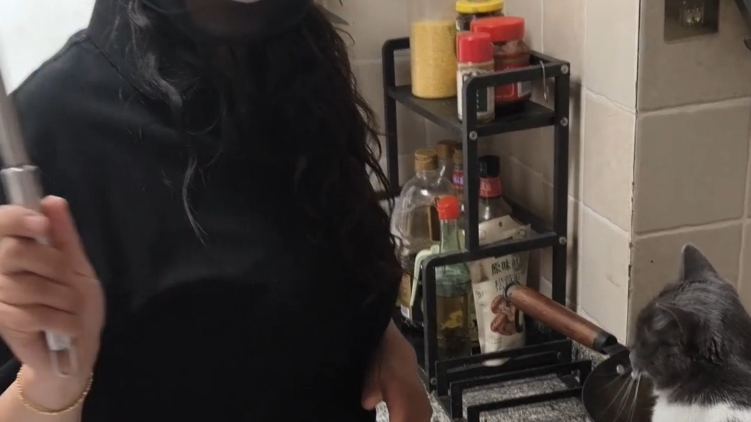 猫咪:今天炒猫粮的人太邪乎了，不吃……