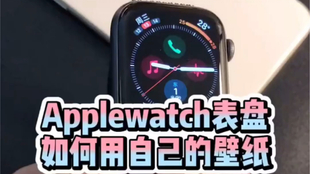 a6fc763e208070e7a3a9a45155f8584077402cad.jpg@310w_174h_1c_100q.jpg