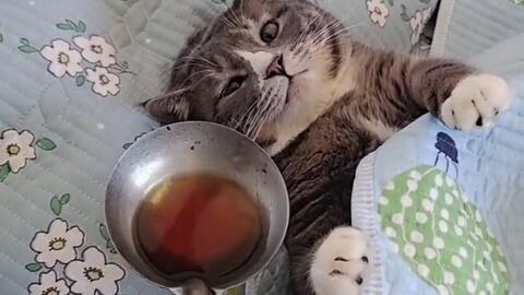 a6ff15329402e679e00dbbd7097e49b766344e53.jpg@480w_270h_1c