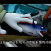 这是一部成年人才能看懂的动画