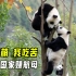 我卖萌，我吃苦，我给国家赚航母，中国顶流熊猫是怎么在世界疯狂吸金的？