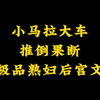 五本极品熟妇后宫文，推倒果断，小马拉大车