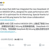 AMD已将 DeepSeek-V3 模型集成到 Instinct MI300X GPU 上