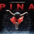 【纪录片】德国现代舞第一夫人：皮娜鲍什 1080P德语中字 Pina (2011)