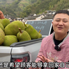 这两年投资做生意一定要谨慎，教大家一个投资小，风险小的生意#摆地摊卖水果 #菠萝蜜