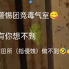 警 惕 反 追 击 仙 人_游戏热门视频