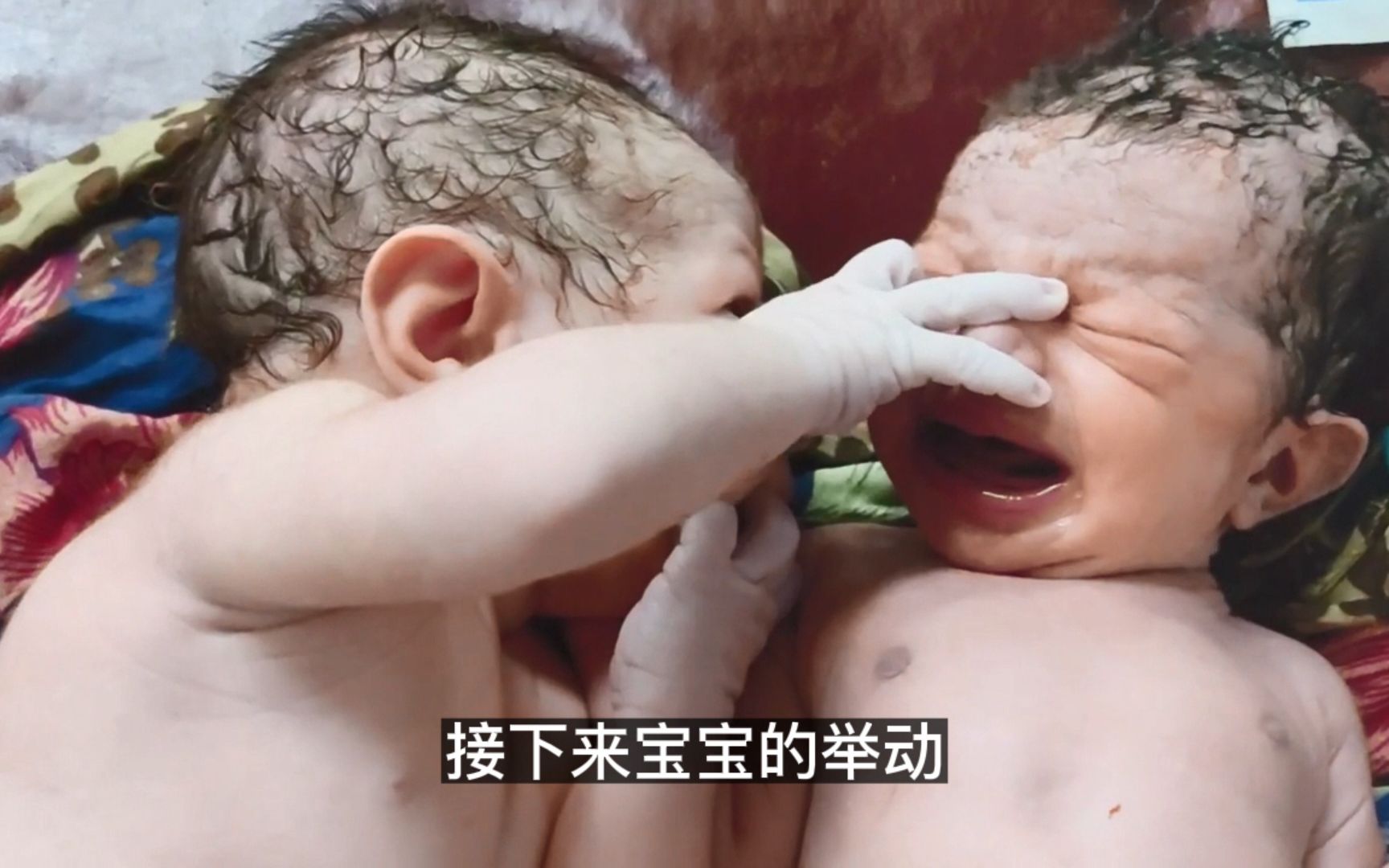 把刚出生5分钟的双胞胎放一起，接下来宝宝的举动，让护士看傻眼