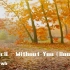 Avicii - Without You（Bootleg）