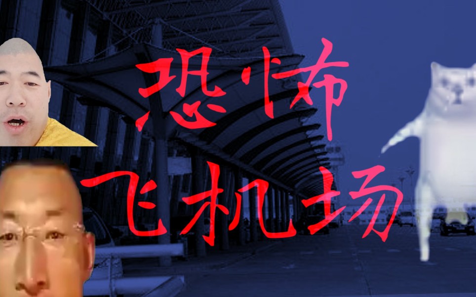 恐怖飞机场_哔哩哔哩_bilibili