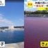 突然变红的海水让冲绳居民紧张了起来：这咋整啊？原来是食用色素(中日双语)(23/06/27)