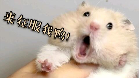 a79754407fce27fcf1de8ea97afc7fba72a85204.jpg@480w_270h_1c