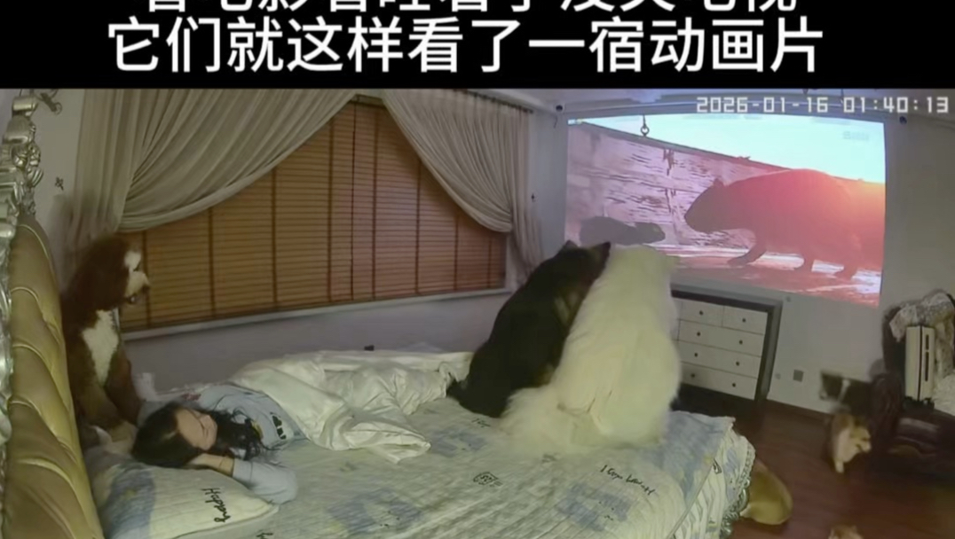 再看几宿都得戴眼镜了吧