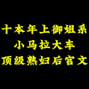 三月三看小说推荐，十本年上御姐系，顶级熟妇后宫文，小马拉大车，剧情车速起飞