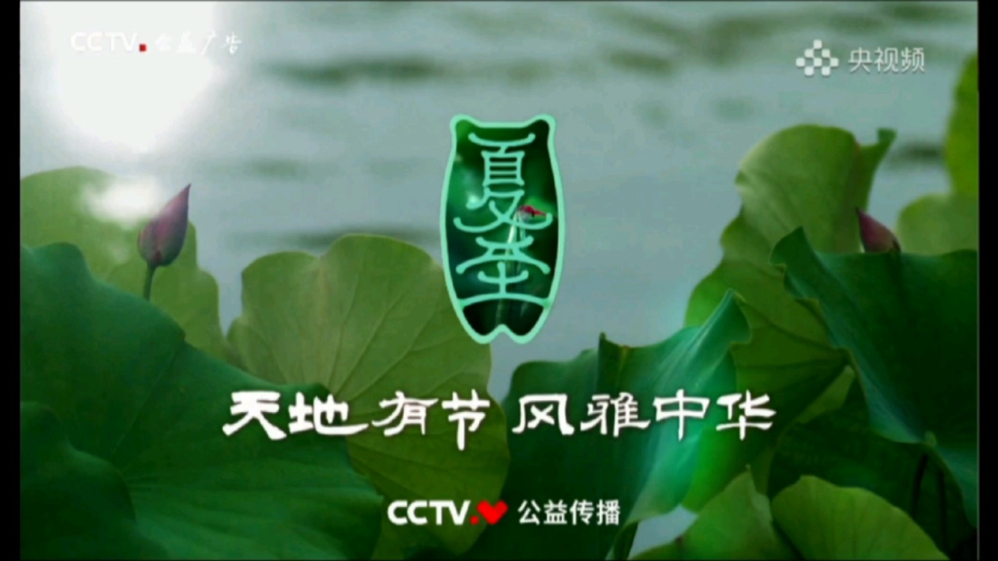 【CCTV公益传播】2024版二十四节气公益广告《夏至》