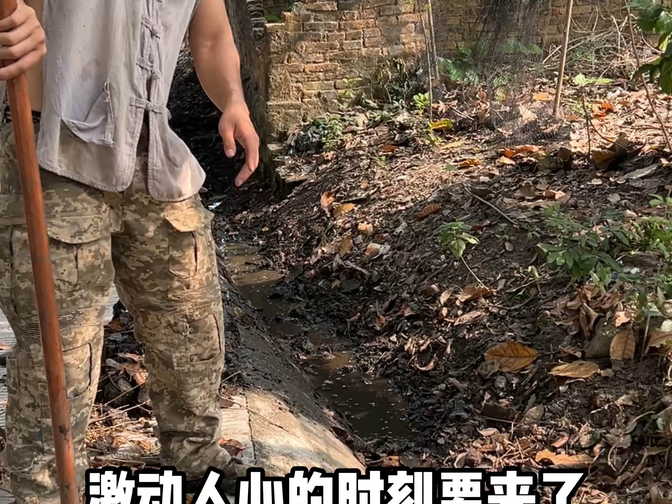 大家要的河道清理过程又来啦