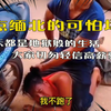 盘点缅北真实场面，这是人间炼狱!千万不要相信任何高薪工作