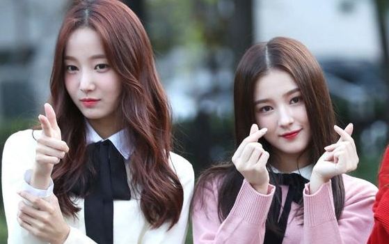 蹦迪三选一~ momoland 妍雨 nancy daisy ,你们要谁啊?