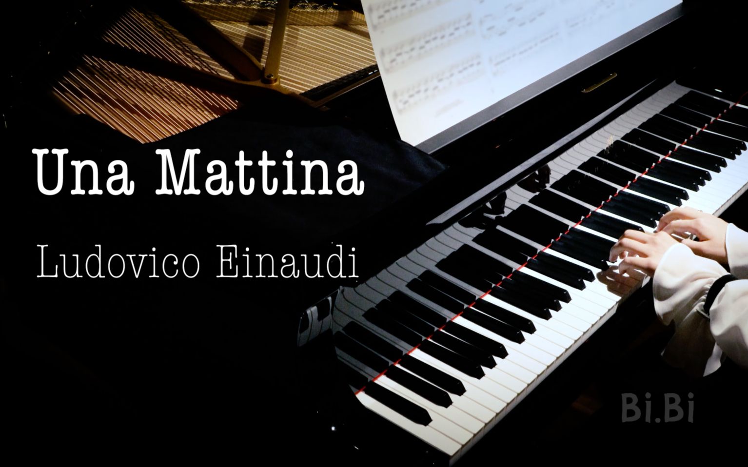 冬日温情钢琴曲 Una Mattina 触不可及 Intouchables 无法触碰 Ludovico Einaudi【高清音质】