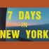 纽约7日vlog【帝国大厦/中央公园/大都会博物馆/自然历史博物馆/苏荷区/布鲁克林/科尼岛】