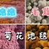 【游玩Vlog】2020国庆中秋出游（上）|毛茸茸软绵绵的菊花地毯|避开人潮|赏菊