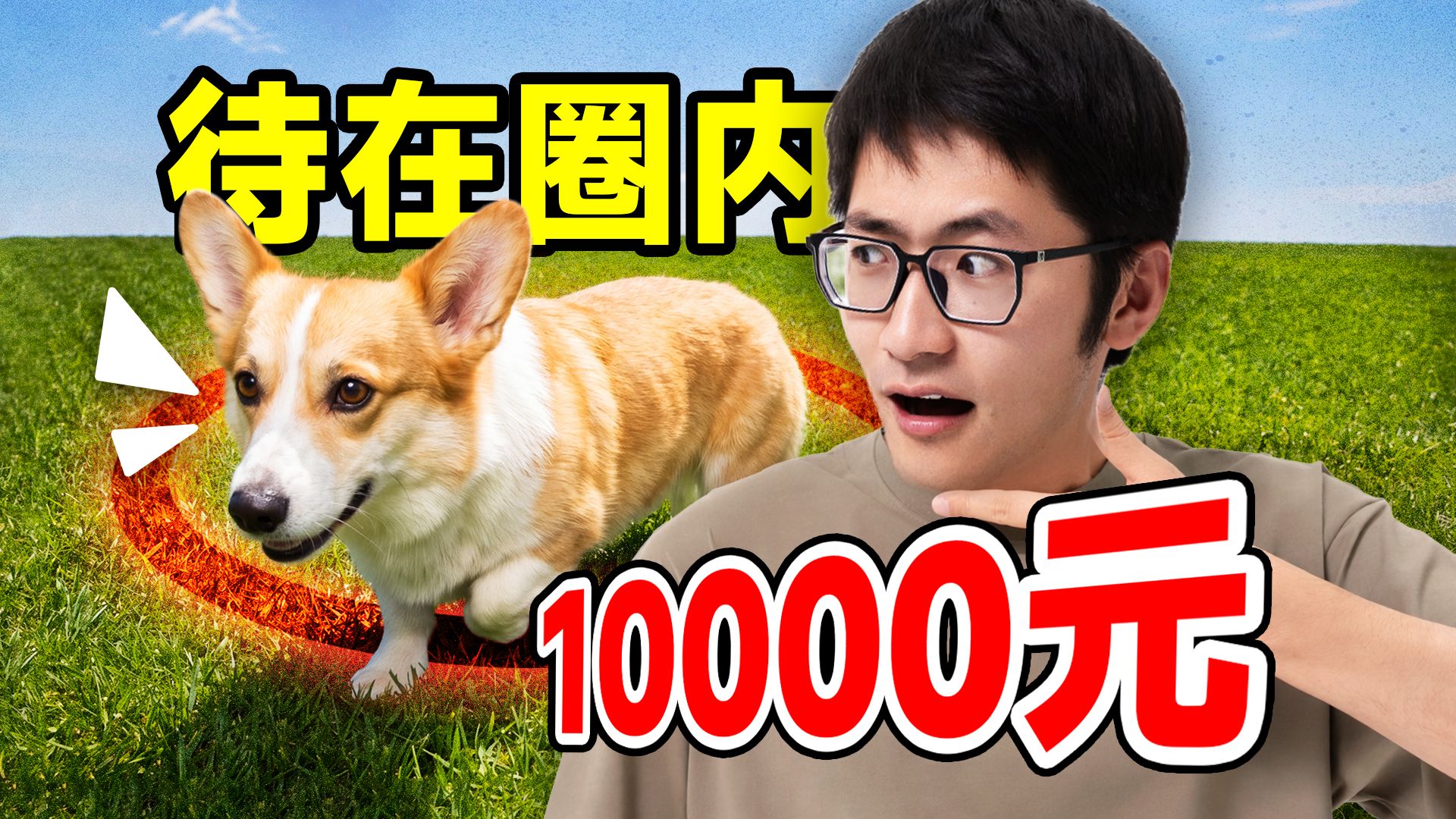 飓多多StormCrew