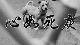 a85729e97cedf2753ea23ef51354cff0b0e57a14.png@280w_158h_1c_100q.jpg