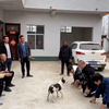 男子给长辈磕头拜年被狗子“横插一杠”，男子反应亮了！网友：伤害不大，侮辱极高