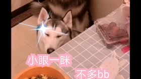 a86a1ae2fbedf4158def0d523f39d6a6d1cf321c.jpg@280w_158h_1c_100q.jpg