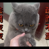 终于！！厕所偷窥狂被绳之以法