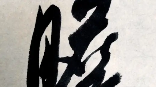 行书单字 瞻