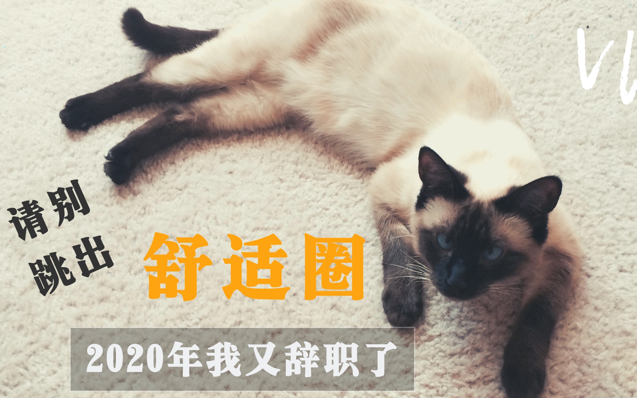 2020年再次辞职,给自己一个机会重新寻找工作的舒适圈哔哩哔哩bilibili