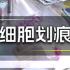 3分钟搞定细胞划痕实验！划痕实验关键技巧，新手必看