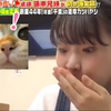 吃到好吃的立马两眼放光的小狗哥妹